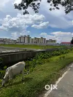Road facing Exclusive plot in ghogorapar (nalbari) .