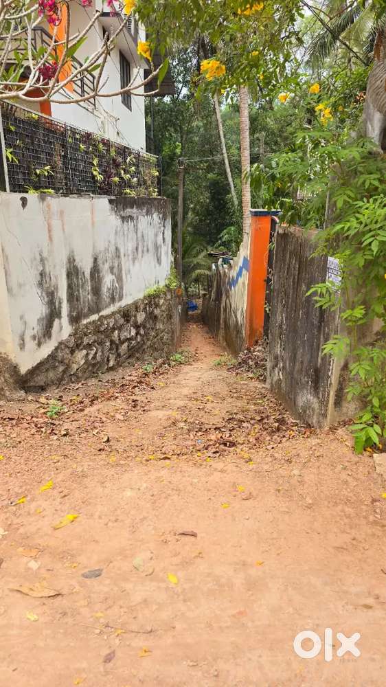 Mulayara kannampally road 5 cent square plot with kinar and pipe