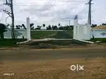 Open plots
