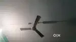 किराए पर मकान देना है