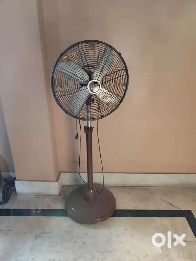 Pedestal fan