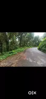 6.3 acre for sale in main road side