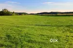 Land for sale 3 bigha at link  road big front