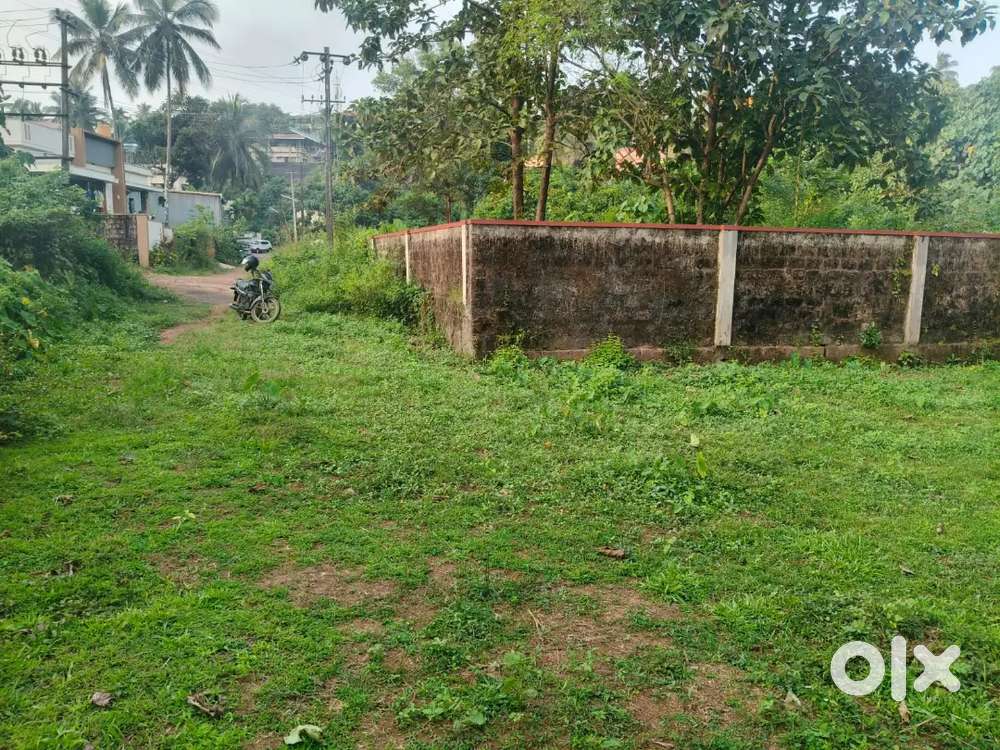 Land sale 4.5 cents capitanio naguri mangalore