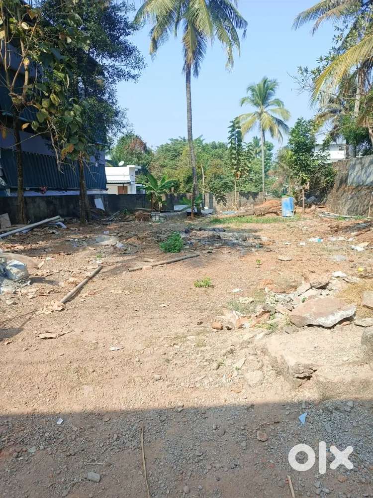 INDIPENDENT PLOT MAVELIPURAM KAKKANAD 15 lk