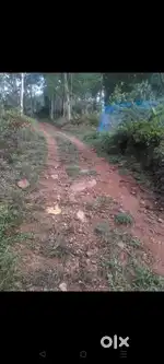 Plot for sell