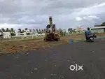 Panneer madai near
