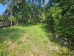 The residential land for sale at Olari, chettupuzha, Thrissur.