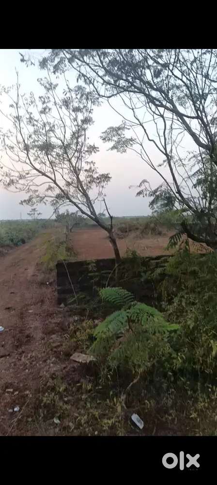 Yellow zone gharabari