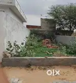 Registry Plot 202 Gaj For Sale in Siwani (Bhiwani)