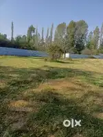 Plots on sale near Tulkul Narsery Mir gund