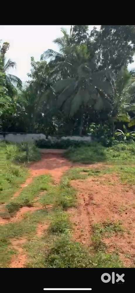 Nearby :- school/madarasa/mosque/temple/public distribution shop