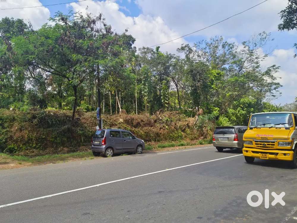 MC Road ചേർന്നു 14.5 cent പുരയിടം വില്പനക്ക്