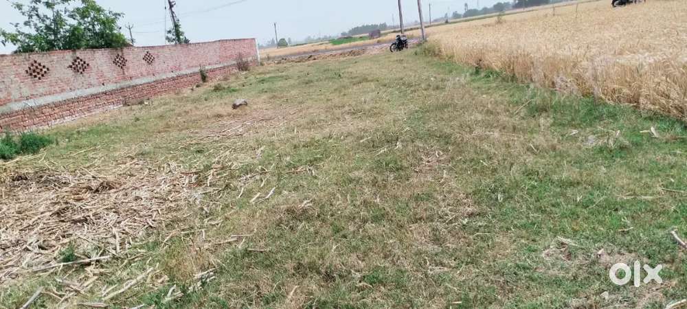 AVAILABLE 500 GAJ LOI BLOCK- A AEROTROPOLIS MOHALI