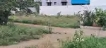 THANGAVELU NEAR TECH PARK DTPSITE 3.5 CENT FOR SALE