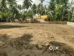 Karikkakam chakkai ( no brockers )