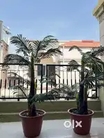 Artificial plant