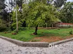 Residential House Plots for Sale - Near Apollo Hospital, Angamaly