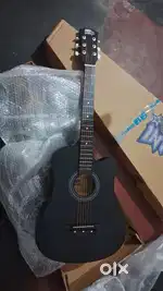 Intern Guitar