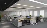 Wanted m/f staffs with daily salary
