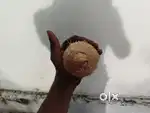 One eye coconut