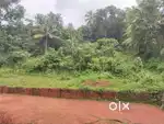 For sale plot chokli thalassery