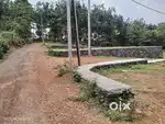 Chottanikkara Eruvely premium plot for sale