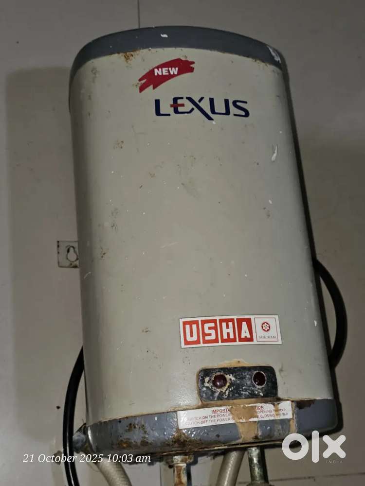 Instant Geyser