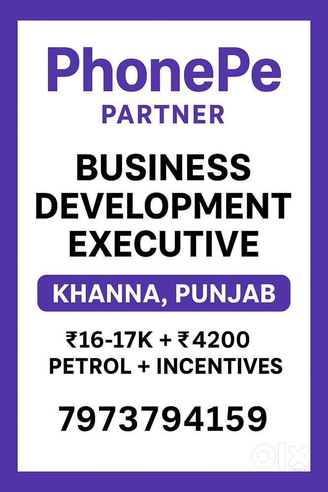 Business Development Executive