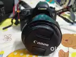 Canon 5D mark3 with lens 24'105 L1