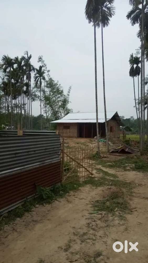 Land for sale in borholla