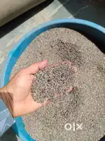Scrap wire PVC granules