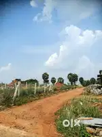 9 Cent house plot for sale in Palakkad