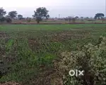 Khet (Agricultural Land) , 1 Acre 12 Dismil