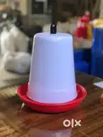 Transportation box