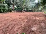 RESIDENTIAL PLOTS PARAMBU FOR SALE@KALLINGAL,MANAPPULLIKKAVU