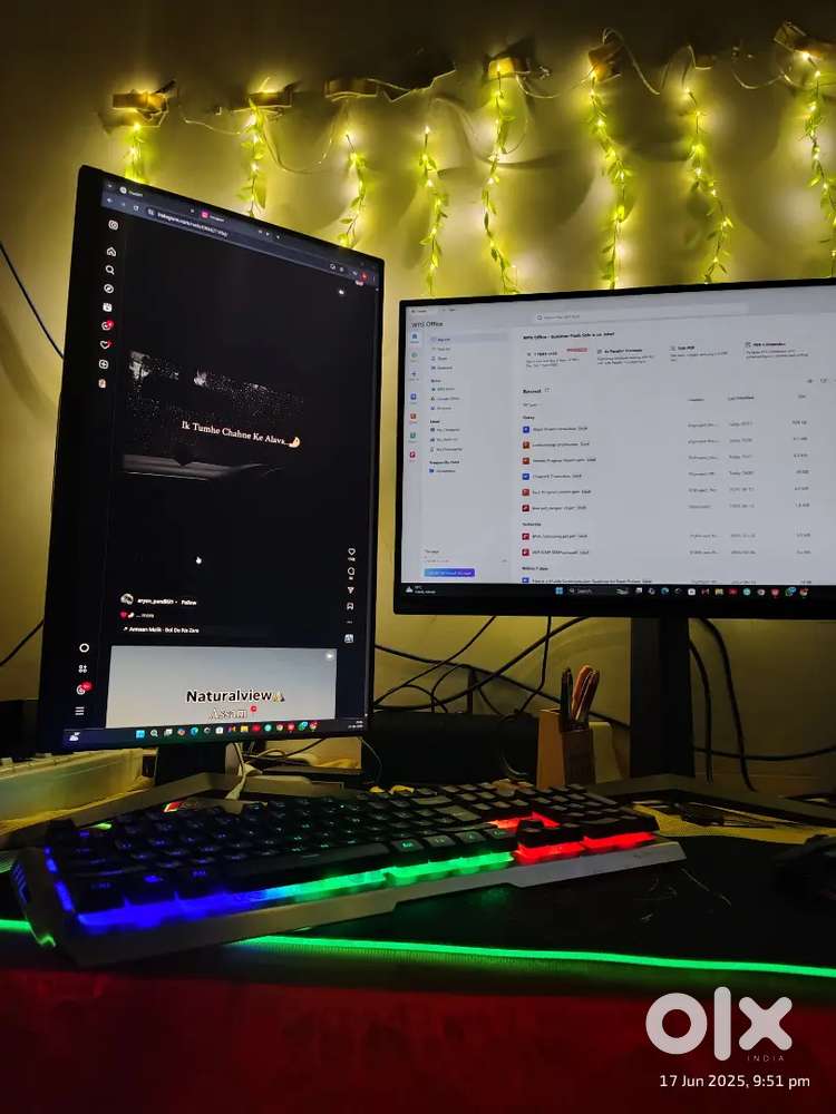 LG ULTRAGEAR IPS MONITOR