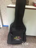 Guitar with cover