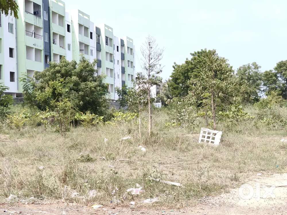Vilangurichi AMD Nagar 28 * 56 (40 feet road) site for sale