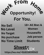 Online work from home