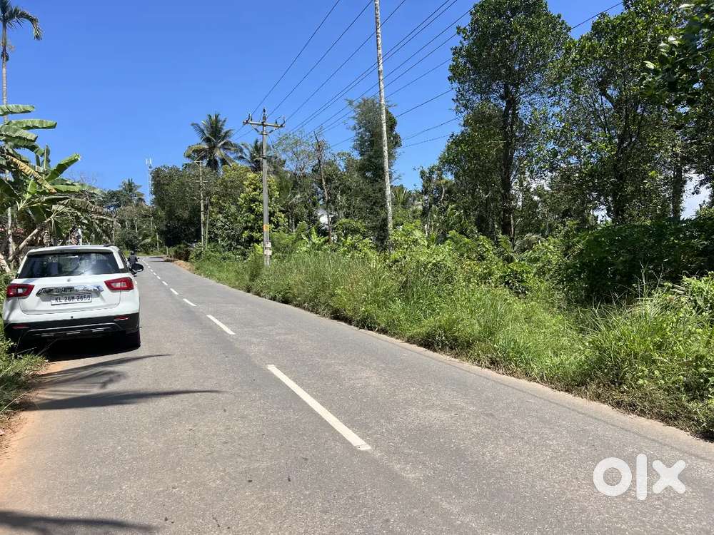 12 CENT HOUSE / COMMERCIAL PLOT FOR SALE IN MANANTHAVADY