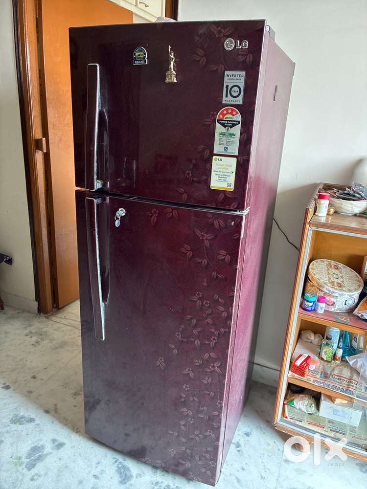 LG 260 lt double door