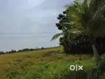 Agriculture land for sale