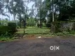 HousePlot for sale ,15 cent,Cherpalchery,tar road frontage,residential