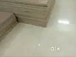 Plywood for sale