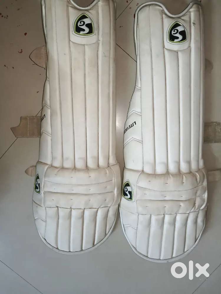 Batting pads in very good condition