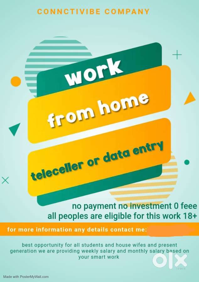 Work from home without any investment