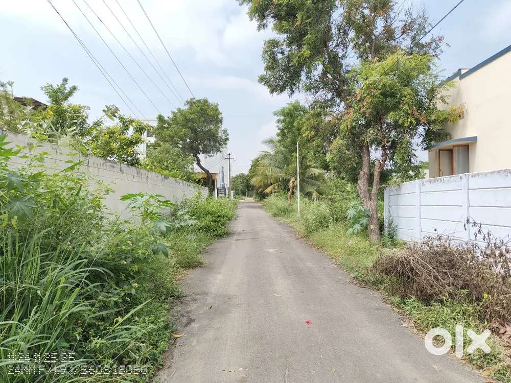 VILANKUURICHI To KALAPATTI MAIN ROAD NEAR 5.50 CENT DTP SITE FOR SALE