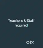 Male and female staff are required for Prayas government school C.G.