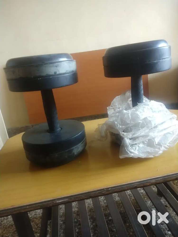 Dumbes For Sale